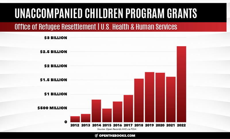 Substack: U.S. Spent $13 Billion Sponsoring Unaccompanied Minor Children At The Border Since 2012